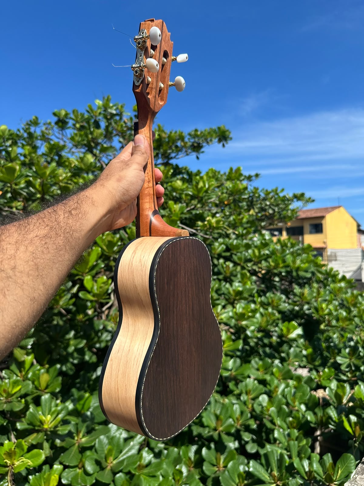 Cavaquinho Meio a meio Faia e jacarandá Ferreira Luthier - PRONTA ENTREGA