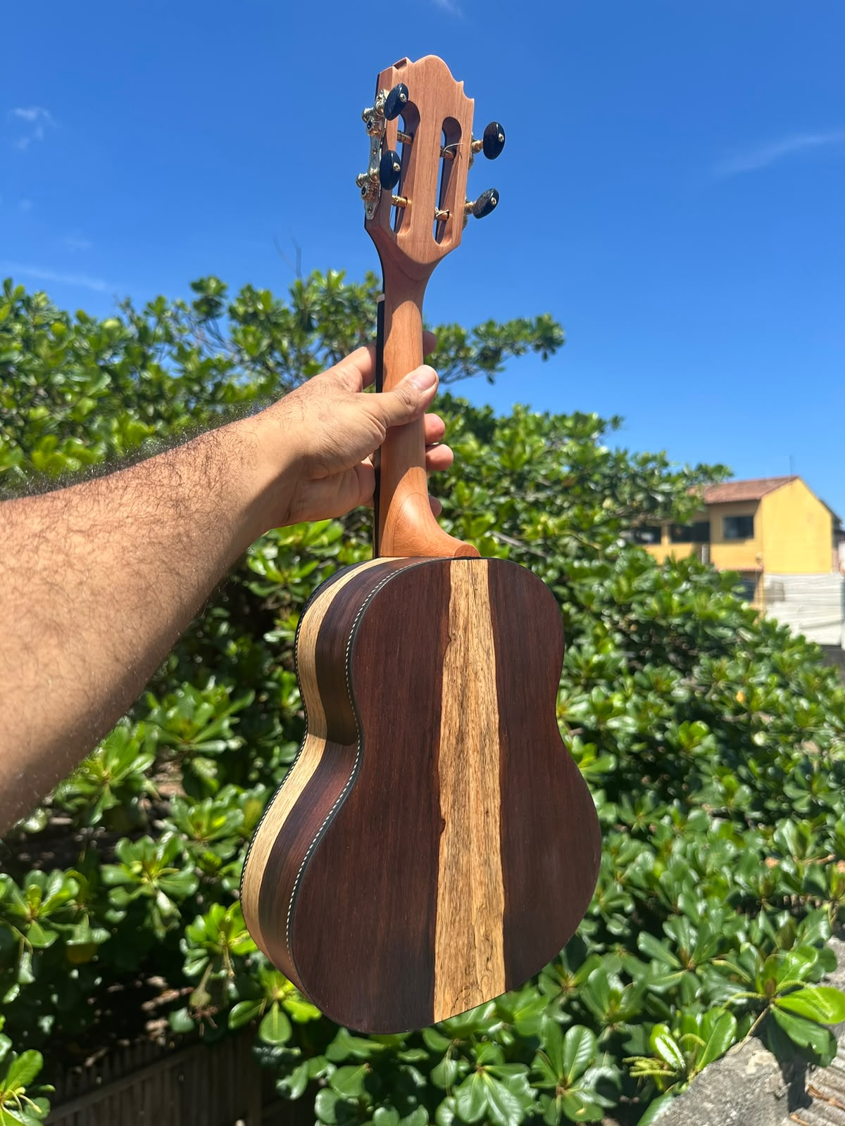 Cavaquinho Jacaranda exótico Ferreira Luthier - PRONTA ENTREGA