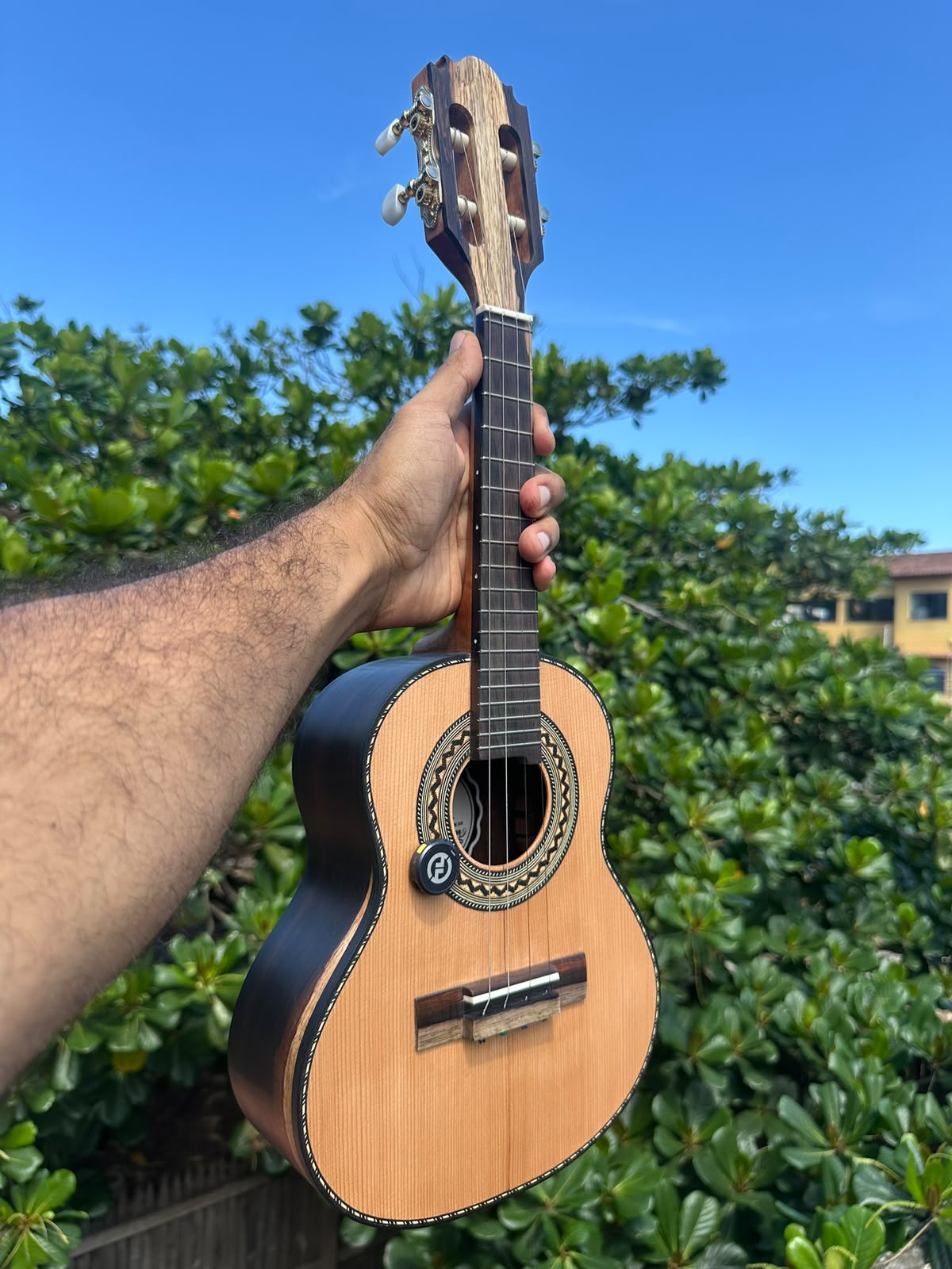 Cavaquinho Jacaranda exótico Ferreira Luthier - PRONTA ENTREGA